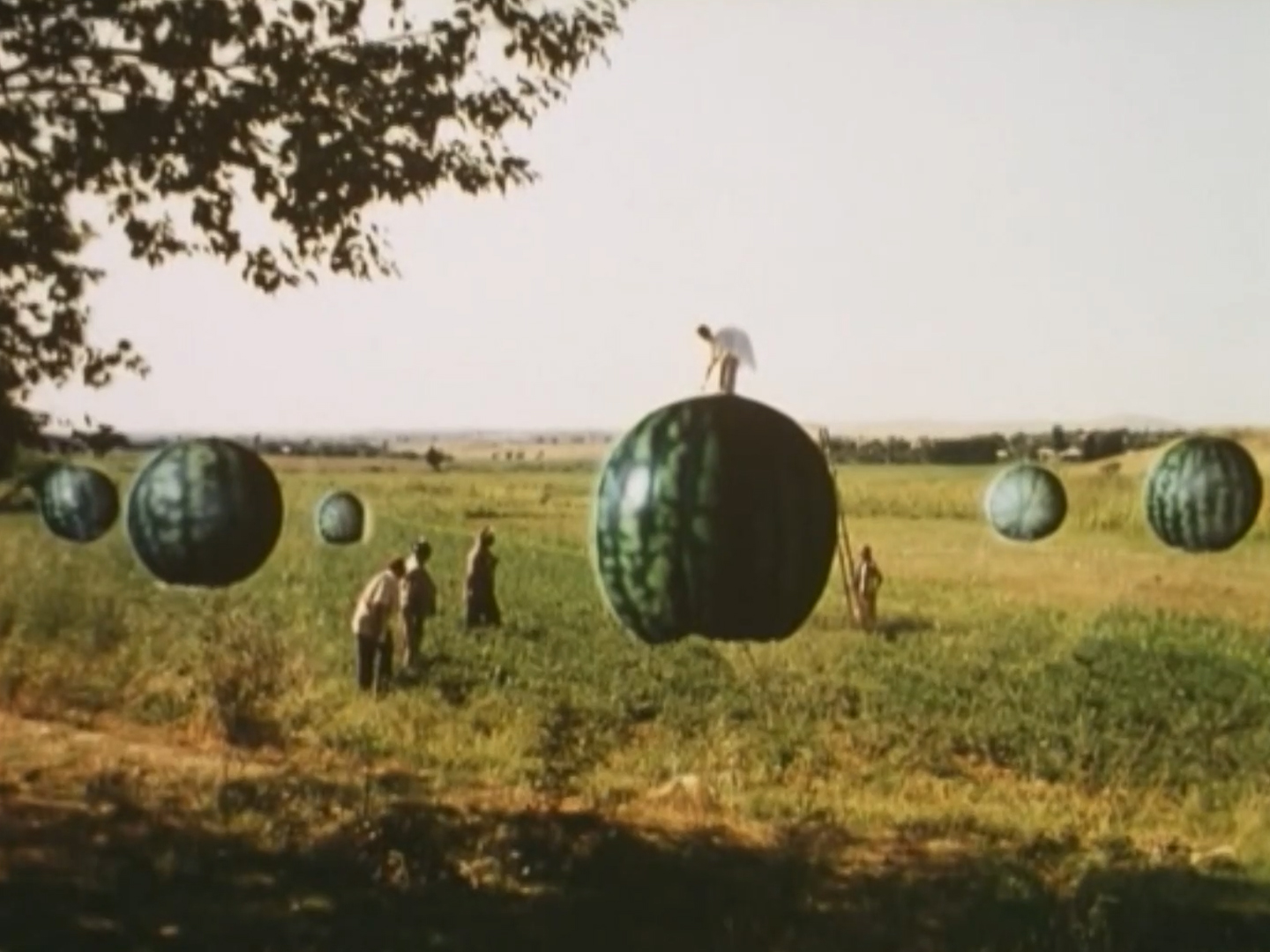 中央アジア今昔映画祭 vol.３