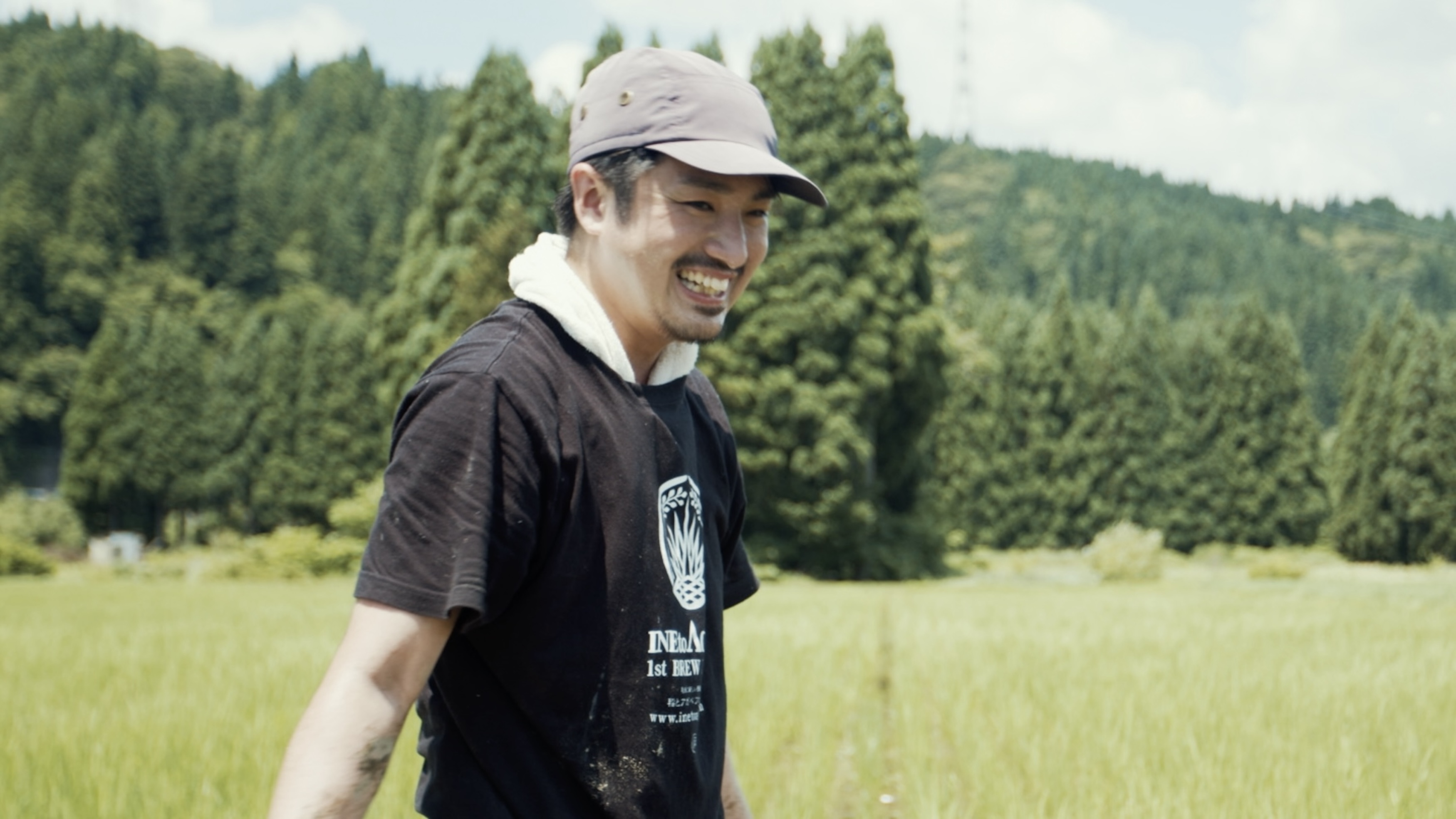イネとカゼ